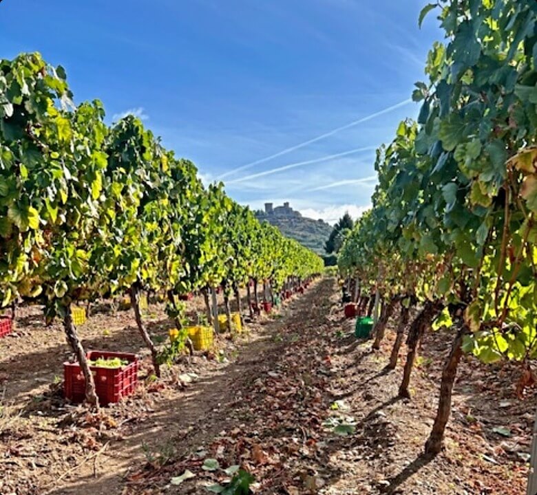 terradegodello2